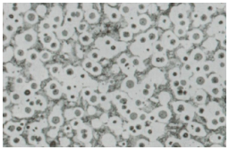 1719020615329386.png image.png